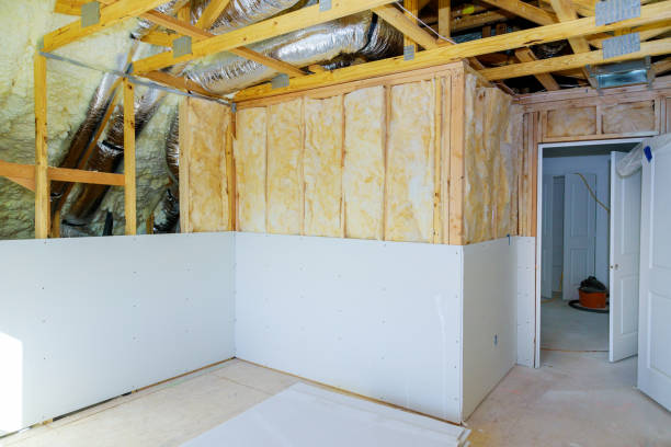 Types of Insulation We Offer in Wyandotte, MI